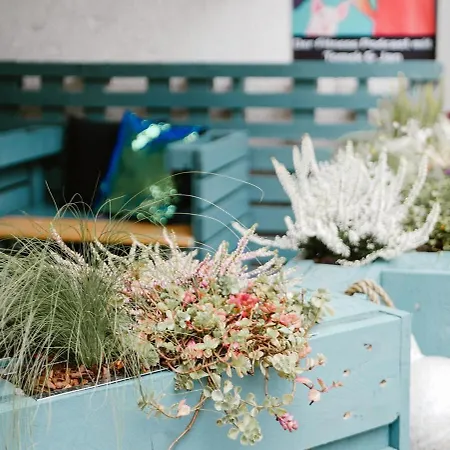 Fitvibes Mit Fitnessstudio&sauna *