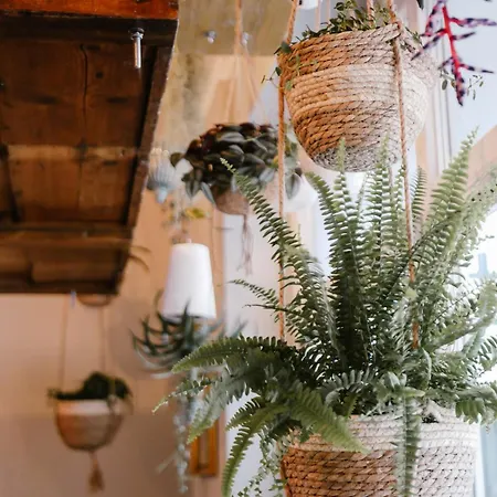 Fitvibes Mit Fitnessstudio&sauna Apartment