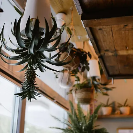 Apartment Fitvibes Mit Fitnessstudio&sauna *