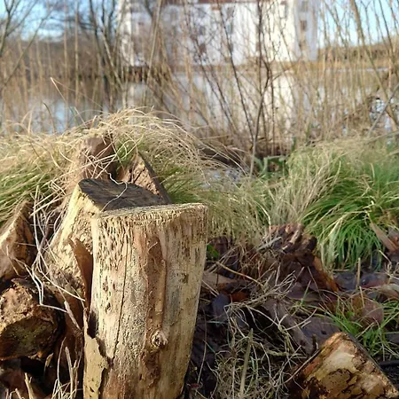 Apartment Fitvibes Mit Fitnessstudio&sauna Ulstrupfeld