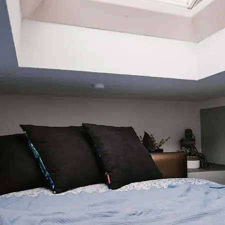 Fitvibes Mit Fitnessstudio&sauna *