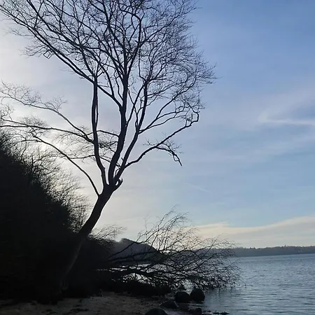 Fitvibes Mit Fitnessstudio&sauna * Ulstrupfeld